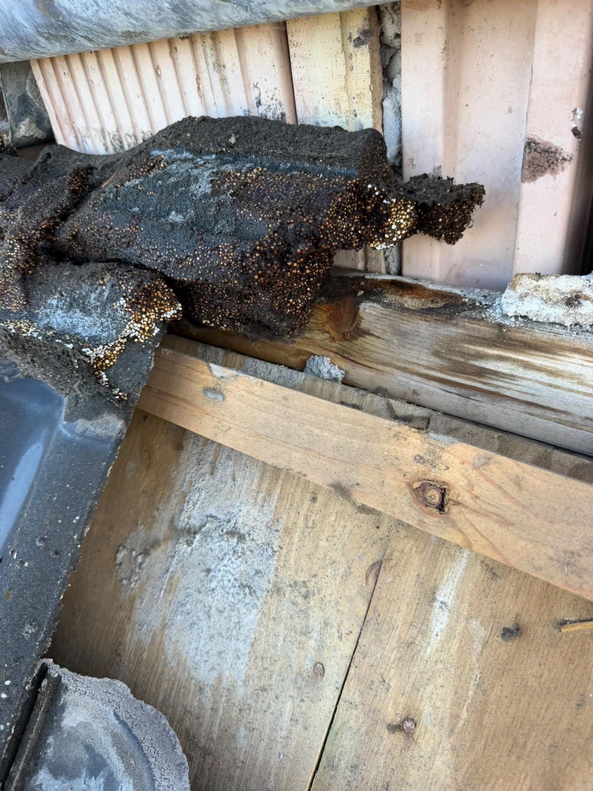 Vervallen bitumen en houtrot op de dakconstructie