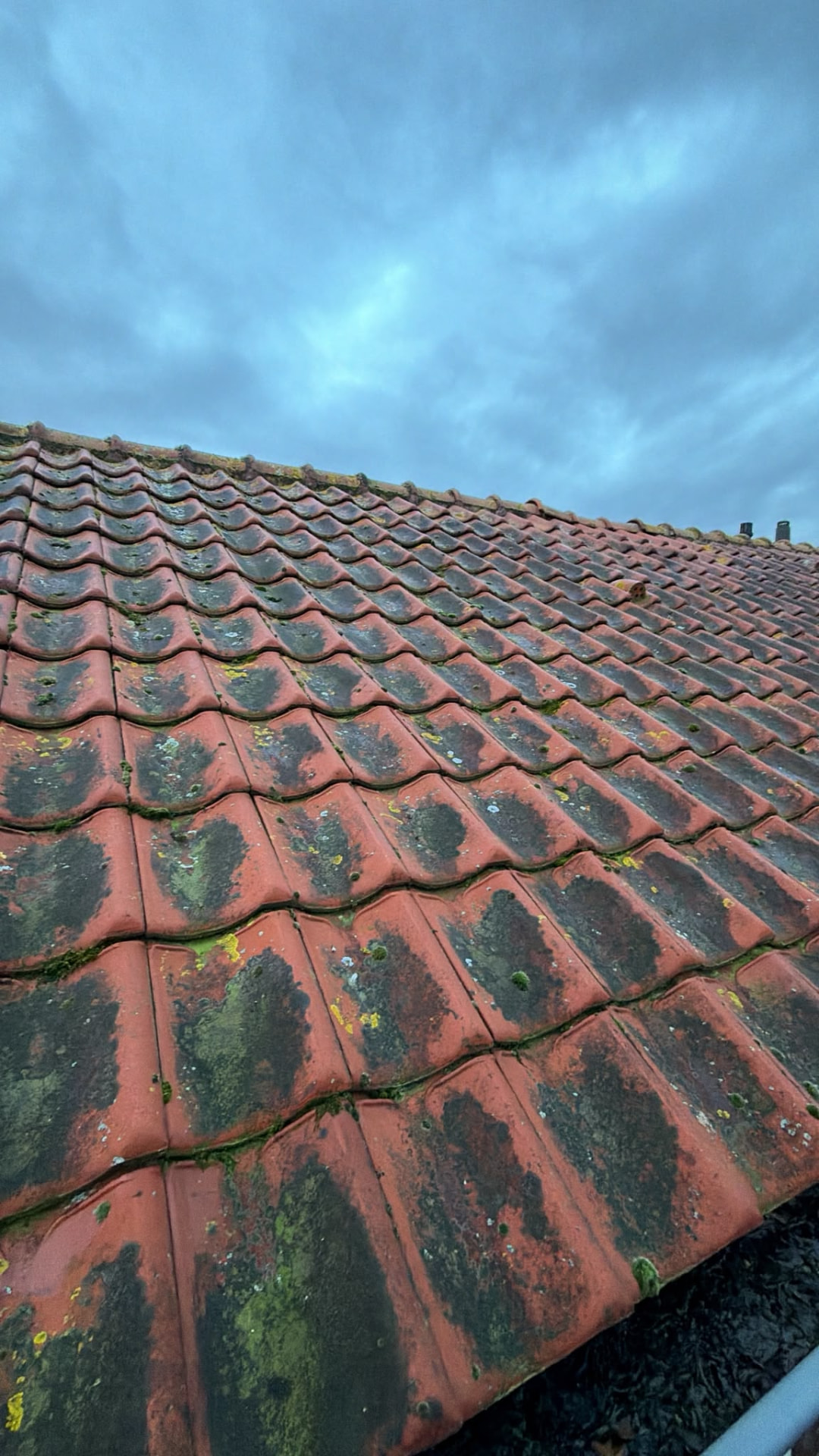 Bemost rood pannendak voor renovatie